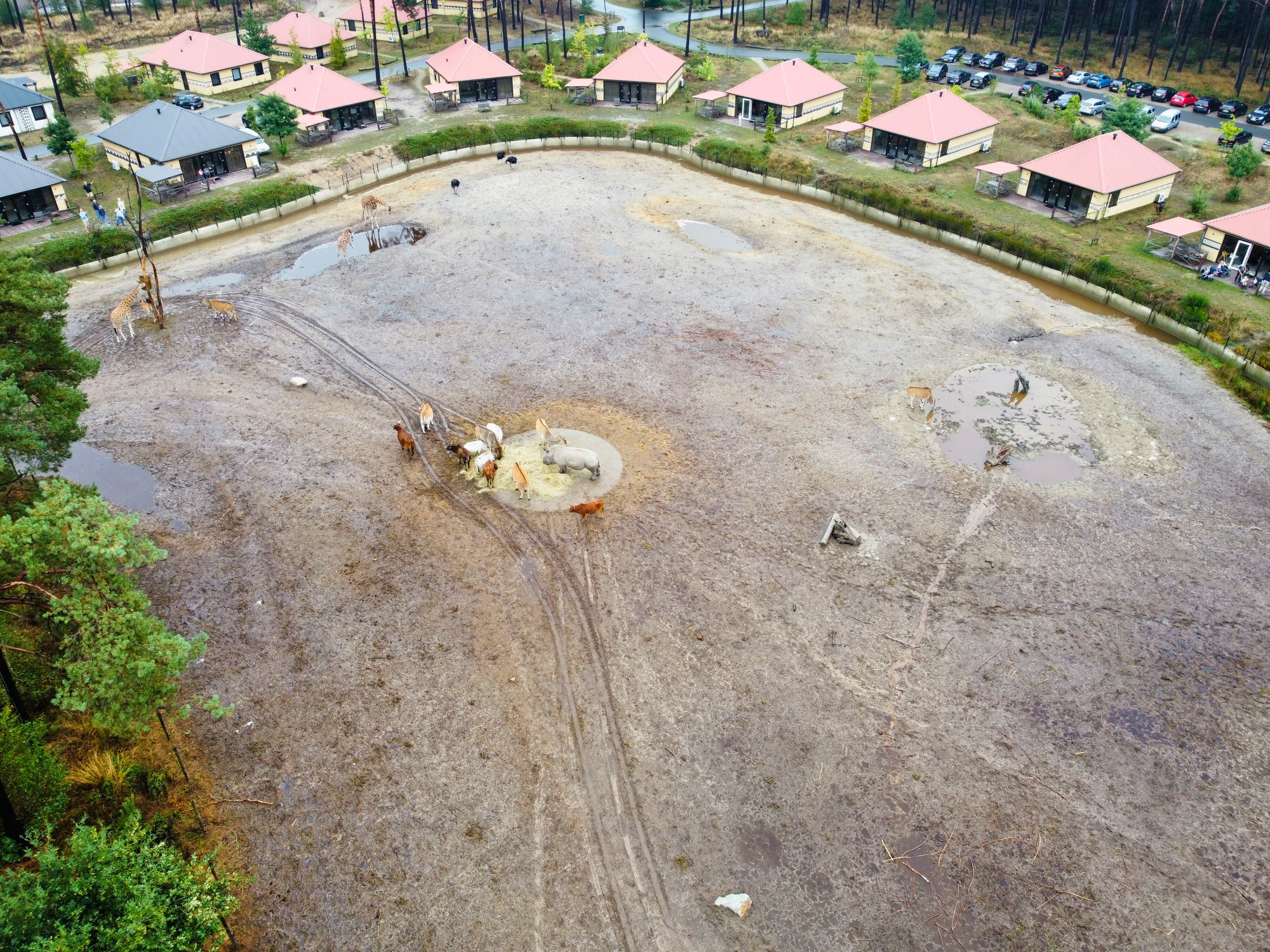 Detail foto